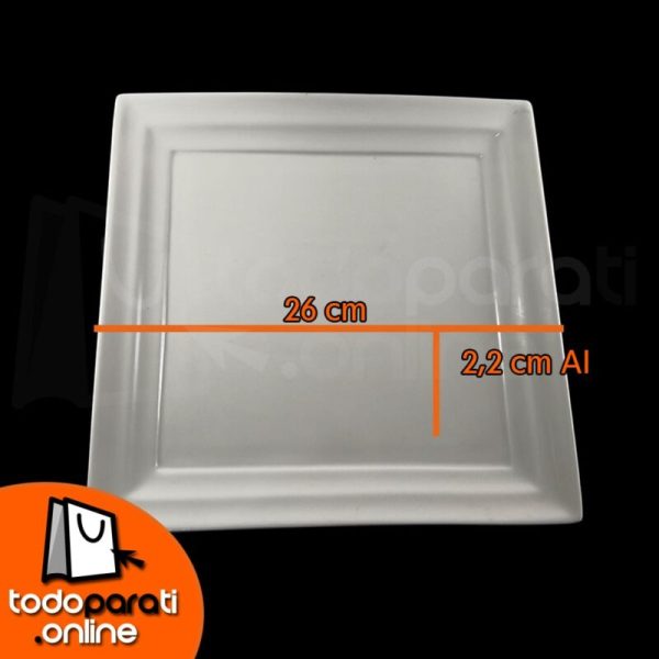 27-min Plato Llano Cuadrado