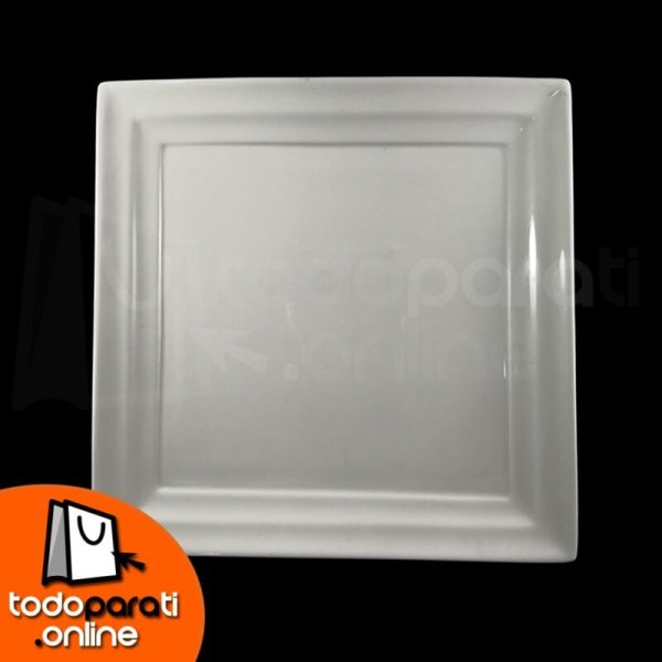 plato cuadrado, porcelana, pato plato cuadrado, porcelana, pato