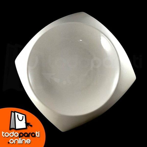 Plato Hondo Estilizado