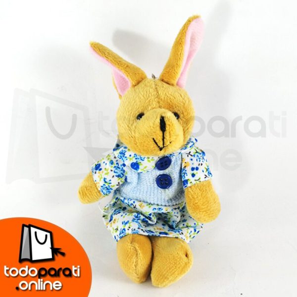 13 (2) Llaveros de Oso x 12